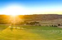 有利可图的南澳大利亚草皮农场以530万美元的价格出售