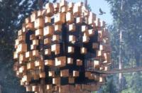 瑞典的生物圈树顶酒店以鸟巢为特色