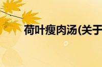 荷叶瘦肉汤(关于荷叶瘦肉汤的简介)