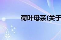 荷叶母亲(关于荷叶母亲的简介)