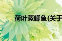荷叶蒸鲫鱼(关于荷叶蒸鲫鱼的简介)