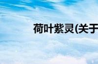 荷叶紫灵(关于荷叶紫灵的简介)