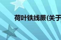 荷叶铁线蕨(关于荷叶铁线蕨的简介)