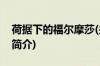 荷据下的福尔摩莎(关于荷据下的福尔摩莎的简介)