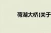 荷湖大桥(关于荷湖大桥的简介)
