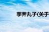 荸荠丸子(关于荸荠丸子的简介)