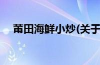 莆田海鲜小炒(关于莆田海鲜小炒的简介)