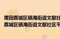 莆田荔城区镇海街道文献社区平安协会志愿服务队(关于莆田荔城区镇海街道文献社区平安协会志愿服务队的简介)