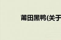 莆田黑鸭(关于莆田黑鸭的简介)