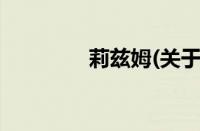 莉兹姆(关于莉兹姆的简介)
