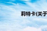 莉特卡(关于莉特卡的简介)