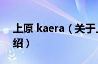上原 kaera（关于上原 kaera的基本详情介绍）
