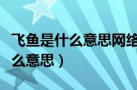 飞鱼是什么意思网络语言（别人总说飞鱼是什么意思）