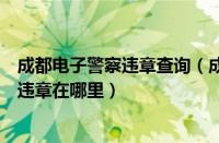成都电子警察违章查询（成都公安交通管理局电子警察查询违章在哪里）