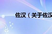 佐汉（关于佐汉的基本详情介绍）