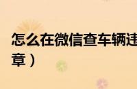 怎么在微信查车辆违章（微信哪个公众号查违章）