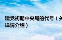 建党初期中央局的代号（关于建党初期中央局的代号的基本详情介绍）