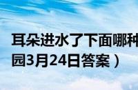 耳朵进水了下面哪种处理方式比较好（蚂蚁庄园3月24日答案）