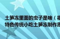 土笋冻里面的虫子是啥（福建特色传统小吃蚂蚁庄园（福建特色传统小吃土笋冻制作原料））