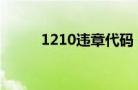 1210违章代码（1219违章代码）