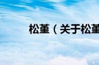 松堇（关于松堇的基本详情介绍）