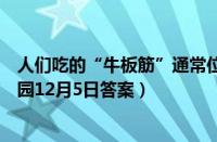 人们吃的“牛板筋”通常位于牛的哪个部位（支付宝蚂蚁庄园12月5日答案）