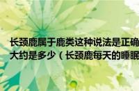 长颈鹿属于鹿类这种说法是正确的还是错误的（长颈鹿每天的睡眠时间大约是多少（长颈鹿每天的睡眠时间大约是多少个小时））
