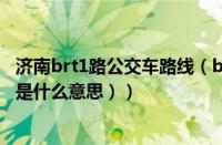 济南brt1路公交车路线（brt是什么意思的缩写（公交车brt是什么意思））