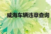 威海车辆违章查询（威海小车违章查询）
