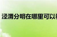 泾渭分明在哪里可以看到（泾渭分明在哪里）