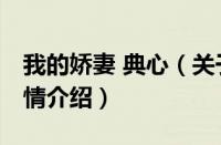 我的娇妻 典心（关于我的娇妻 典心的基本详情介绍）