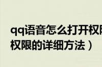 qq语音怎么打开权限设置方法（qq设置语音权限的详细方法）
