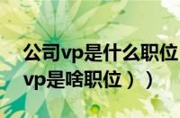 公司vp是什么职位（公司里vp是什么职位（vp是啥职位））