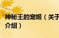 神秘王的宠姬（关于神秘王的宠姬的基本详情介绍）