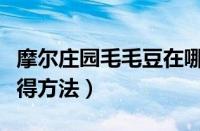 摩尔庄园毛毛豆在哪获得（摩尔庄园毛毛豆获得方法）
