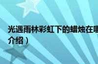 光遇雨林彩虹下的蜡烛在哪里（光遇雨林彩虹下的蜡烛位置介绍）