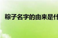 粽子名字的由来是什么（粽子的来历简介）