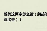鹧鸪这两字怎么读（鹧鸪怎么读音是什么读（鹧鸪怎么读音读出来））