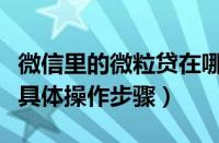 微信里的微粒贷在哪里找（微信里查看微粒贷具体操作步骤）