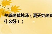 冬季老鸭炖汤（夏天炖老鸭汤放什么最好（冬天煲老鸭汤放什么好））