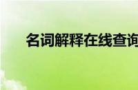 名词解释在线查询（名词解释怎么答）
