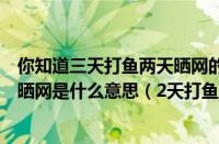 你知道三天打鱼两天晒网的意思是什么吗（三天打鱼（两天晒网是什么意思（2天打鱼3天晒网的意思））