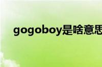 gogoboy是啥意思（gogoboy是什么）