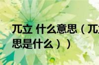 兀立 什么意思（兀立的意思解释（兀立的意思是什么））