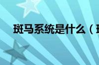 斑马系统是什么（斑马系统有哪些功能）