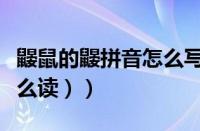 鼹鼠的鼹拼音怎么写（鼹鼠怎么读拼音（鼹怎么读））