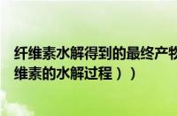 纤维素水解得到的最终产物是什么（纤维素的水解反应（纤维素的水解过程））