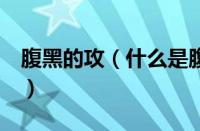 腹黑的攻（什么是腹黑攻（腹黑受什么意思））