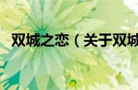 双城之恋（关于双城之恋的基本详情介绍）