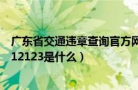 广东省交通违章查询官方网站（安徽交通违章查询官方网站12123是什么）